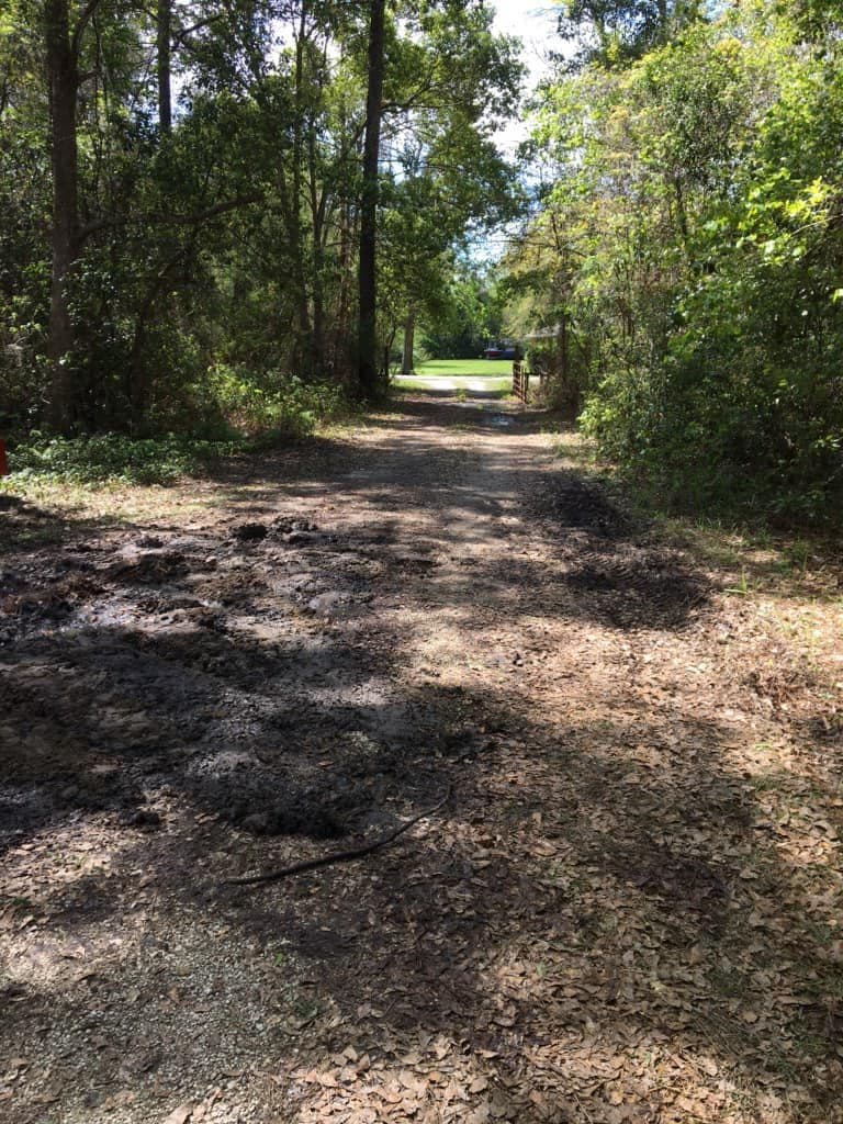 Before gravel delivery on a wooded access road with bare dirt and patchy ground.