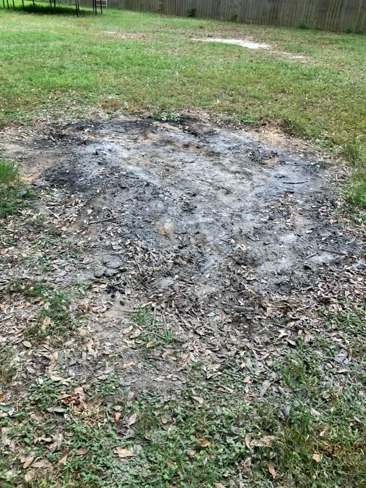 After a small junk removal job with the debris removed.